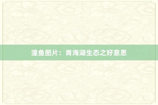 湟鱼图片：青海湖生态之好意思