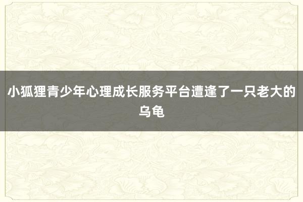小狐狸青少年心理成长服务平台遭逢了一只老大的乌龟
